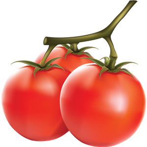 Tomato PNG-12515